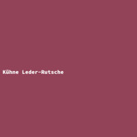 Kühne Leder-Rutsche